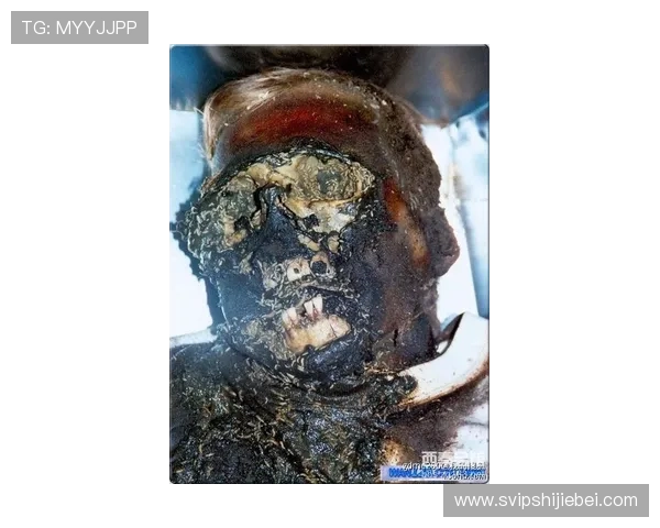 2023世界杯球队排名一览表全景展示,助你掌握各队最新排名动态与未来走势预测 2023世界杯球队排名一览表全景展示,助你掌握各队最新排名动态与未来走势预测