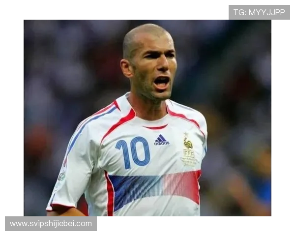 世界杯历史夺冠国家排名前十名详细介绍及其夺冠年份回顾