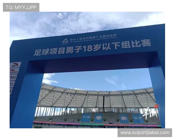 全面解析足球外围平台的选择技巧，保障您的投注安全与资金安全