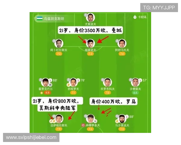 2026年世界杯预选赛晋级情况影响因素分析及各国晋级概率详解