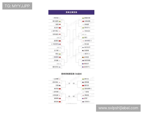 2026年欧洲区世界杯预选赛法国队积分榜最新排名及赛程安排