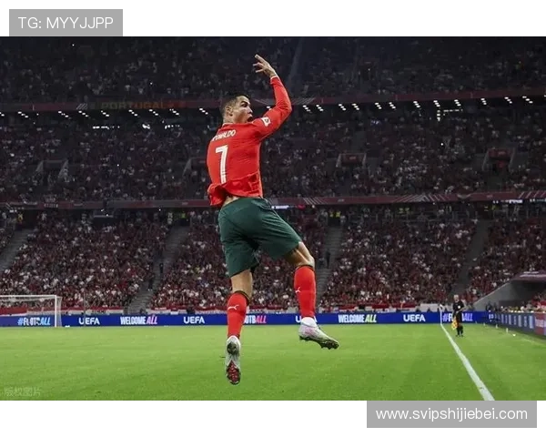 深入分析世界杯历史进球榜前十名球员的精彩表现与背后故事