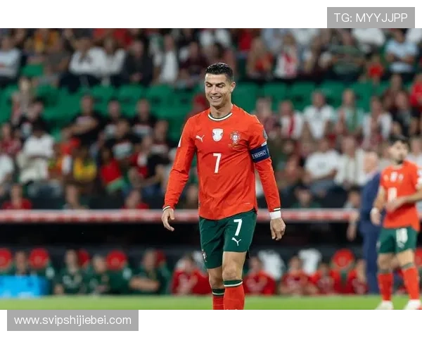 深入探讨历届世界杯四强的核心球员与明星表现，揭示足球巨星背后的故事与荣耀