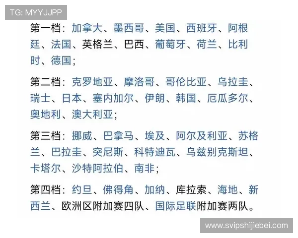 足球世界杯预选赛比赛结果分析，解读各队表现优劣及未来晋级前景