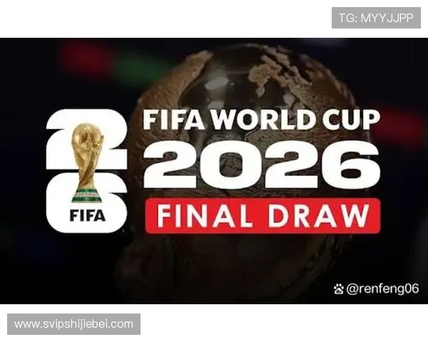 2026年世界杯举办城市及场馆分布情况，观赛指南与交通攻略