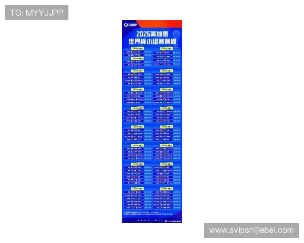 2026年世界杯小组分组表官方公布，详细介绍各组球队组成及比赛安排
